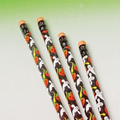 Halloween Pencil